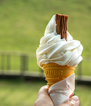 photo of a vanilla ice cream cone