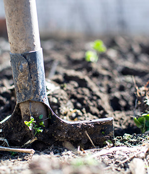 Photo of shovel in dirt