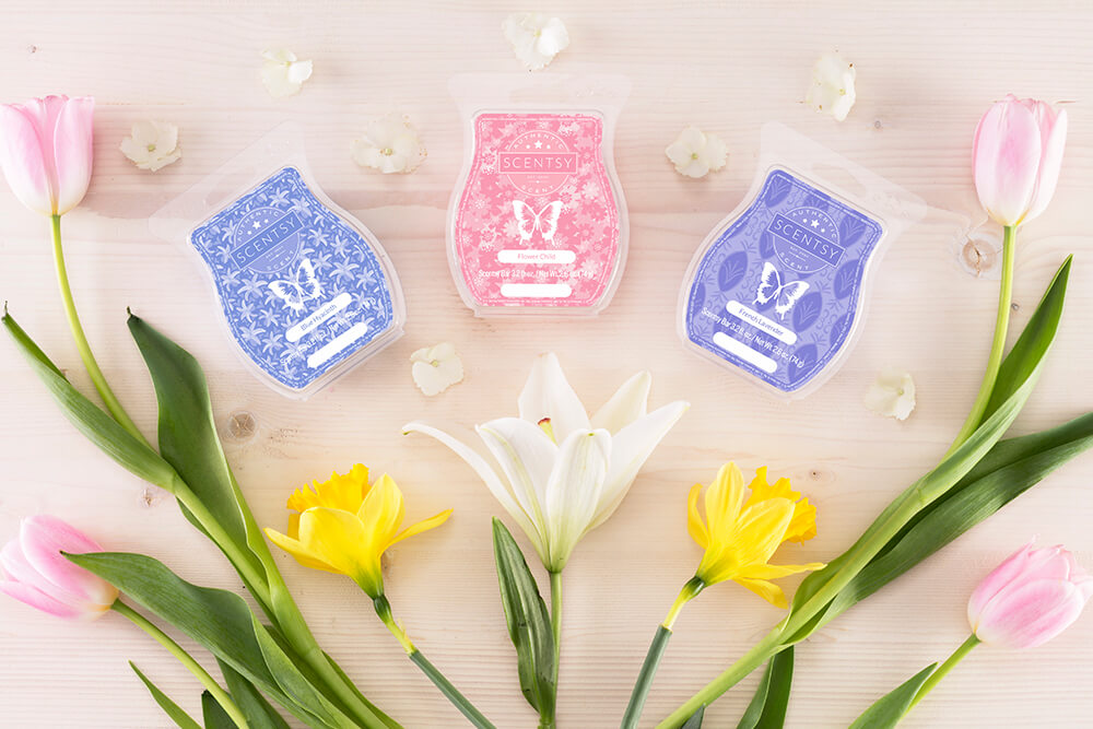photo of blue hyacinth, flower child, and french lavender Scentsy Wax Bars