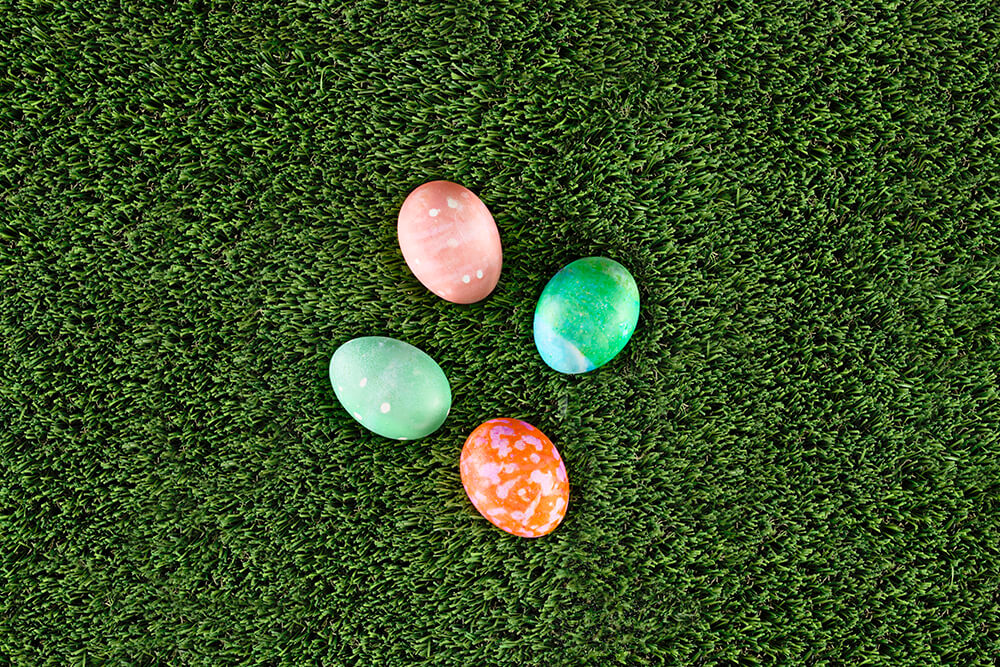 Photo of colored eggs atop grass