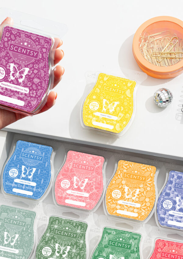 A top-down view of an assortment of Scentsy Wax Bars organized in a drawer.