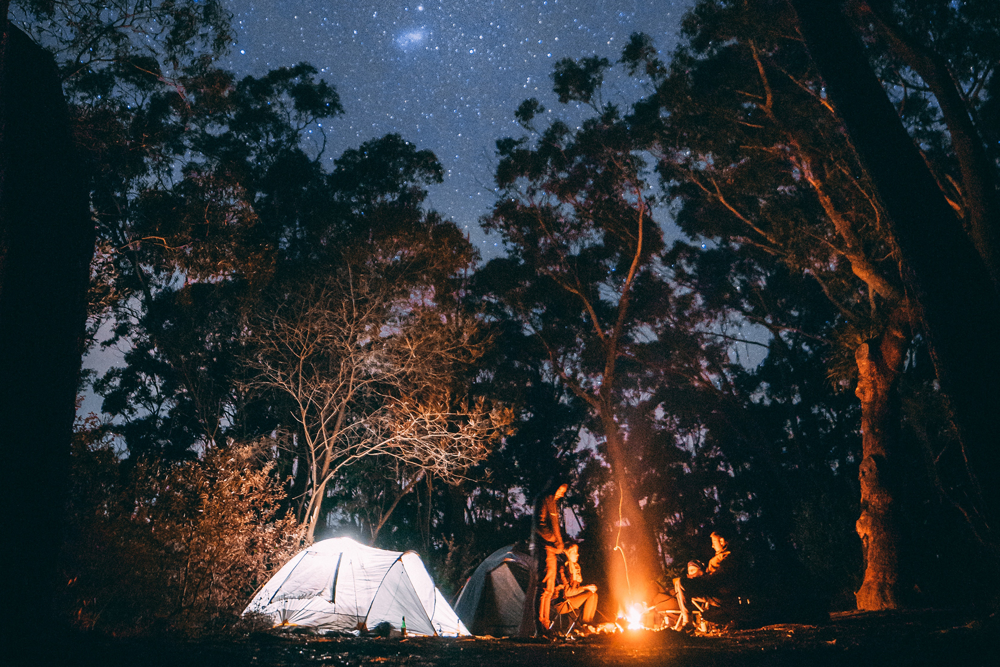 tent and campfire under the stars