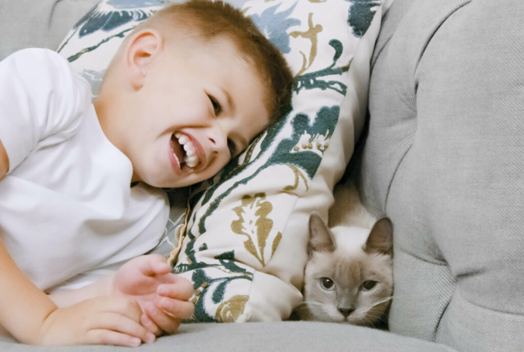 Child laying on couch while cat hides under pillow on couch