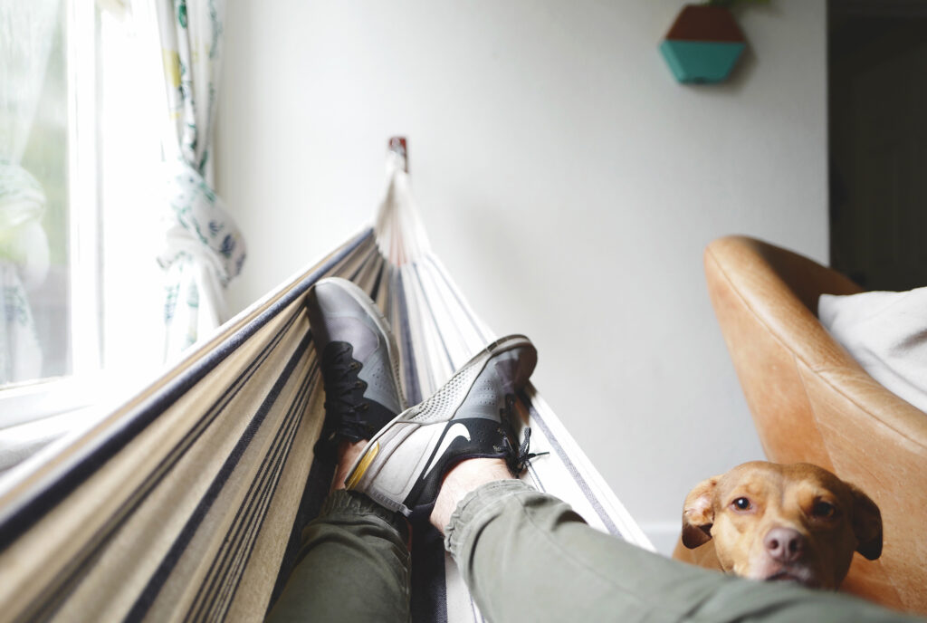 Person relaxing on an indoor hammock with their dog watching them