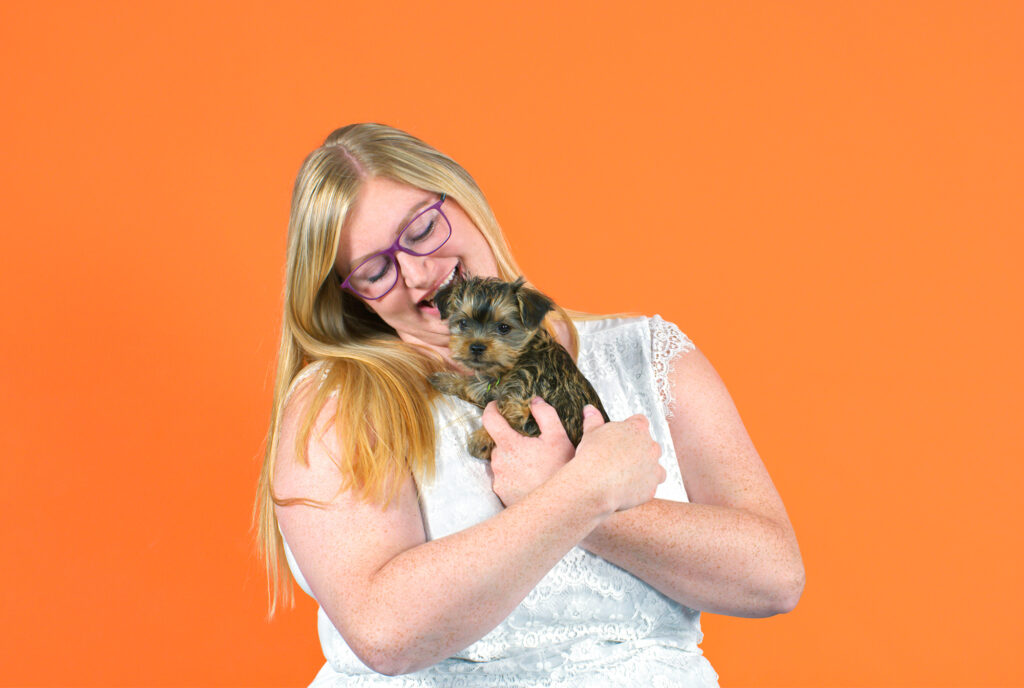 Cute dog being held by owner with an orange background