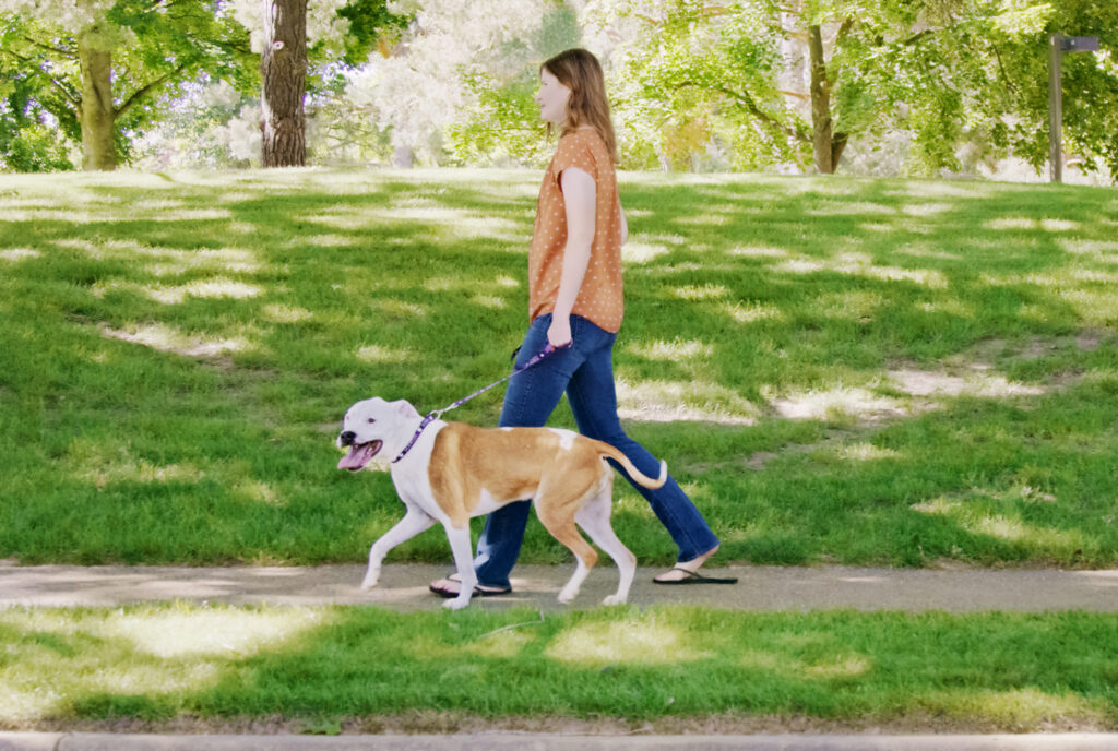 Woman walking dog on sidewalk near grass and trees
