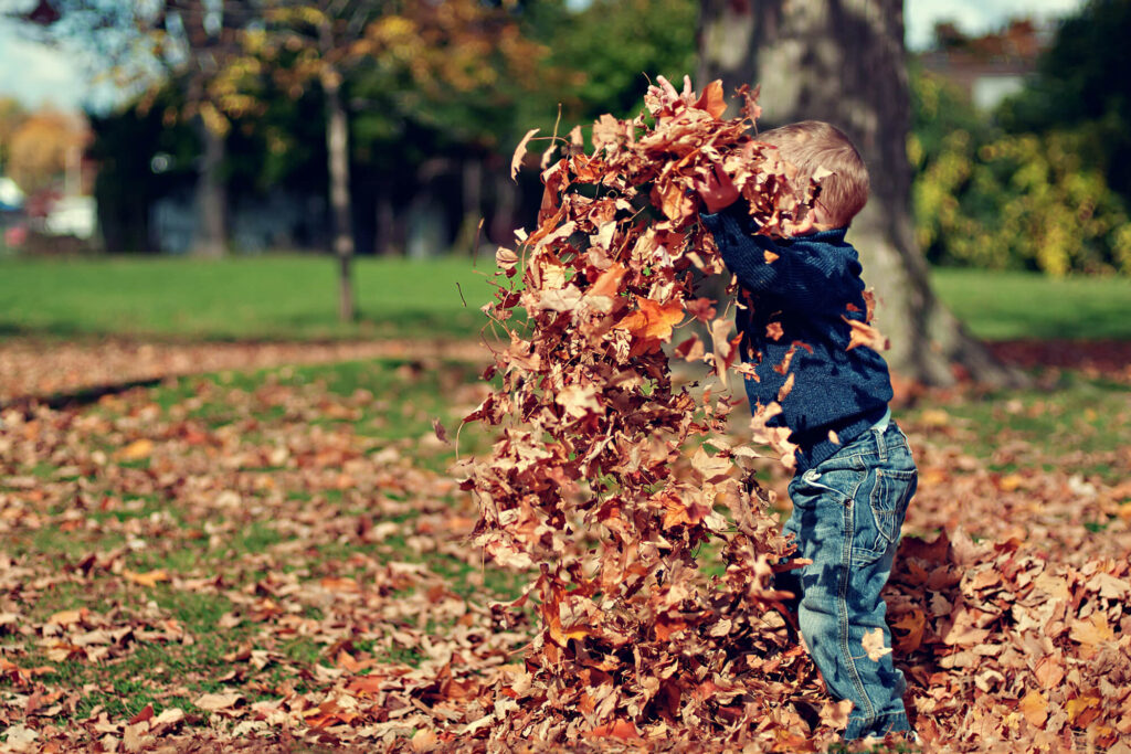 Little child playing in leaves
