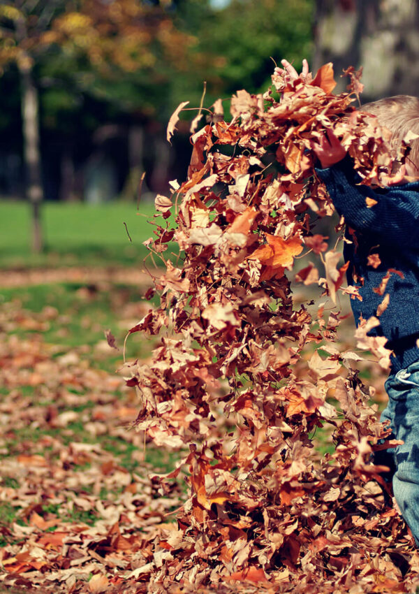 Little child playing in leaves