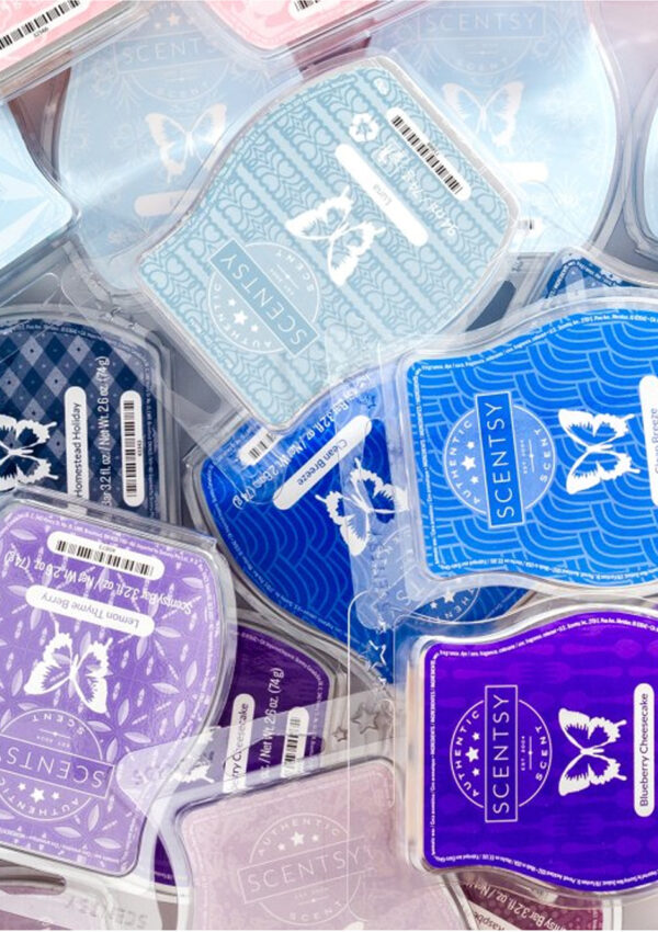 Everything you want to know about Scentsy Bars