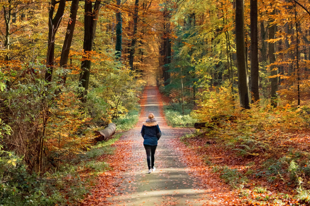 Person walking in a forest