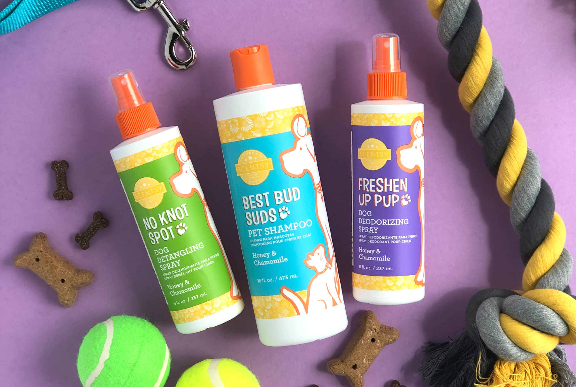 Three ways to pamper your pet on National Pet Day