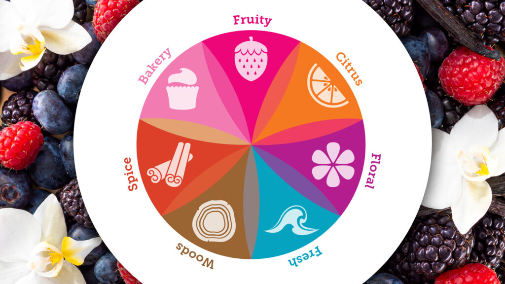 scentsy fragrance family wheel with even of our scent categories and fruits, flowers and vanilla beans in the background