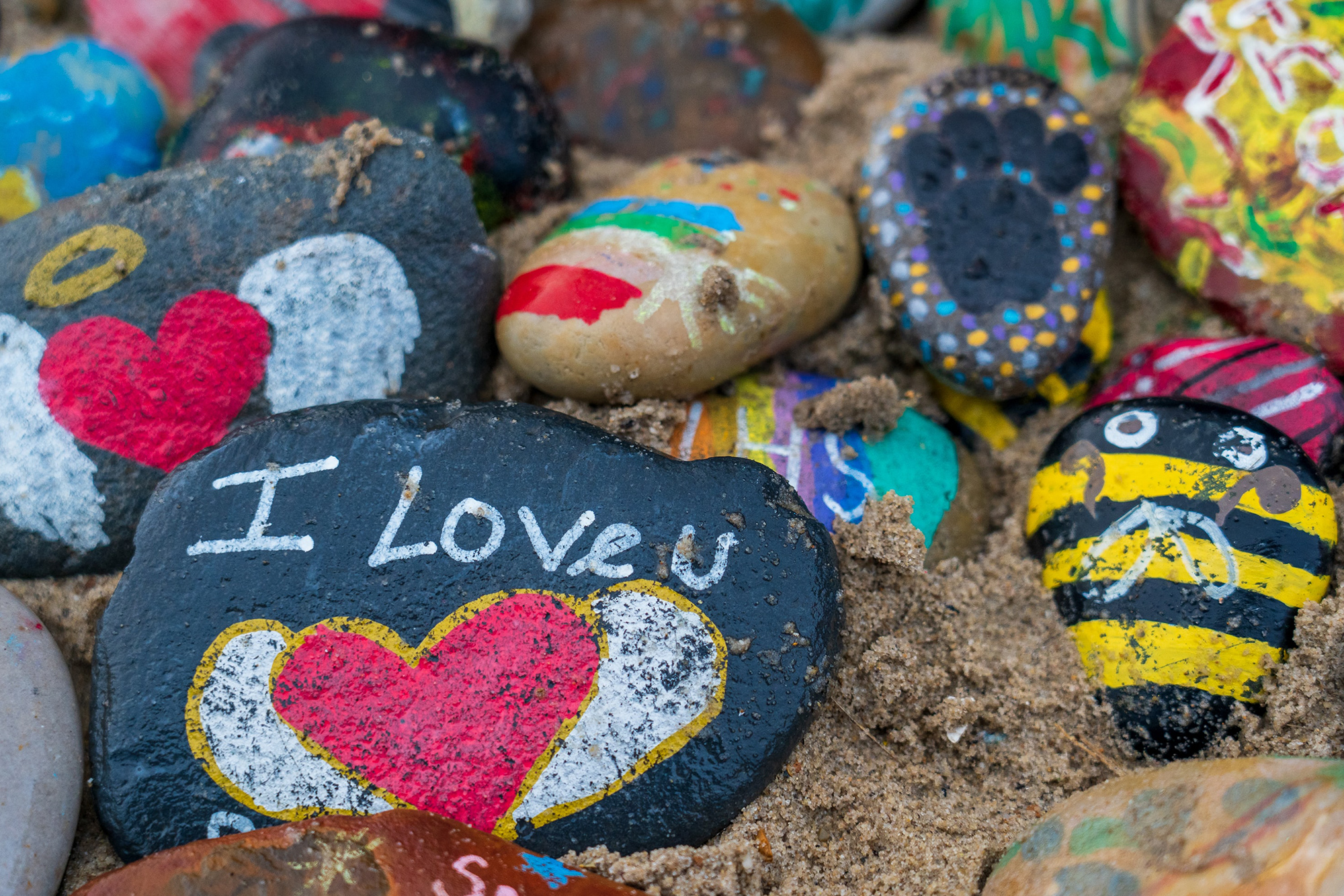 Painted Rocks on the ground