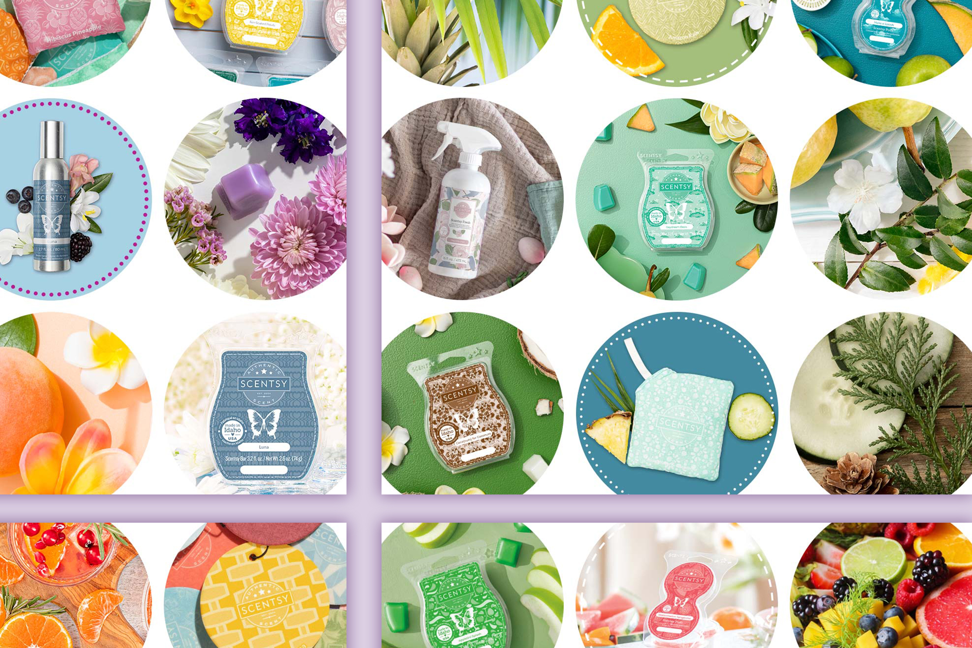 Scentsy graphic design with several products placed in small circles