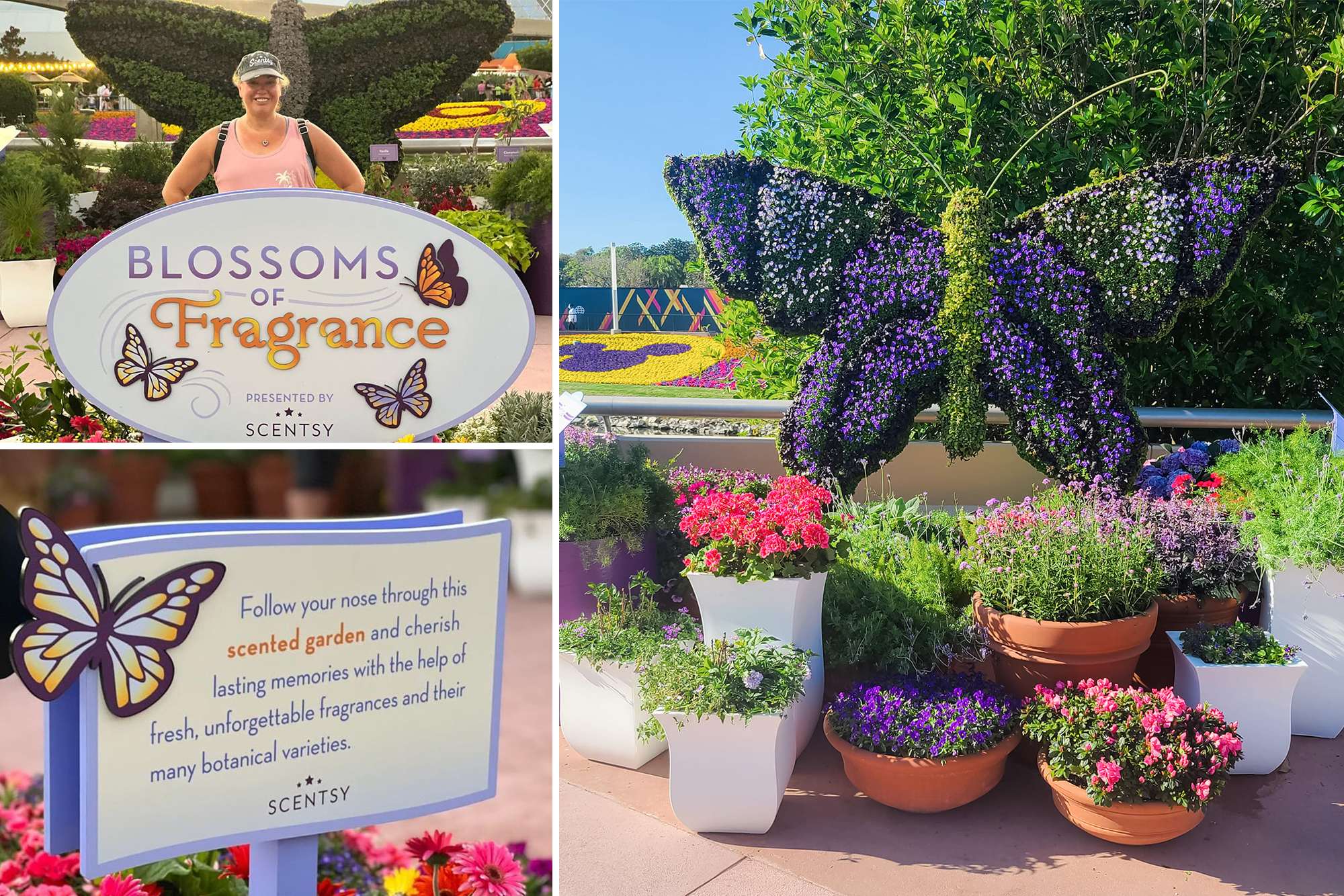 Scentsy at 2022 EPCOT® International Flower & Garden Festival at Walt Disney World® Resort￼