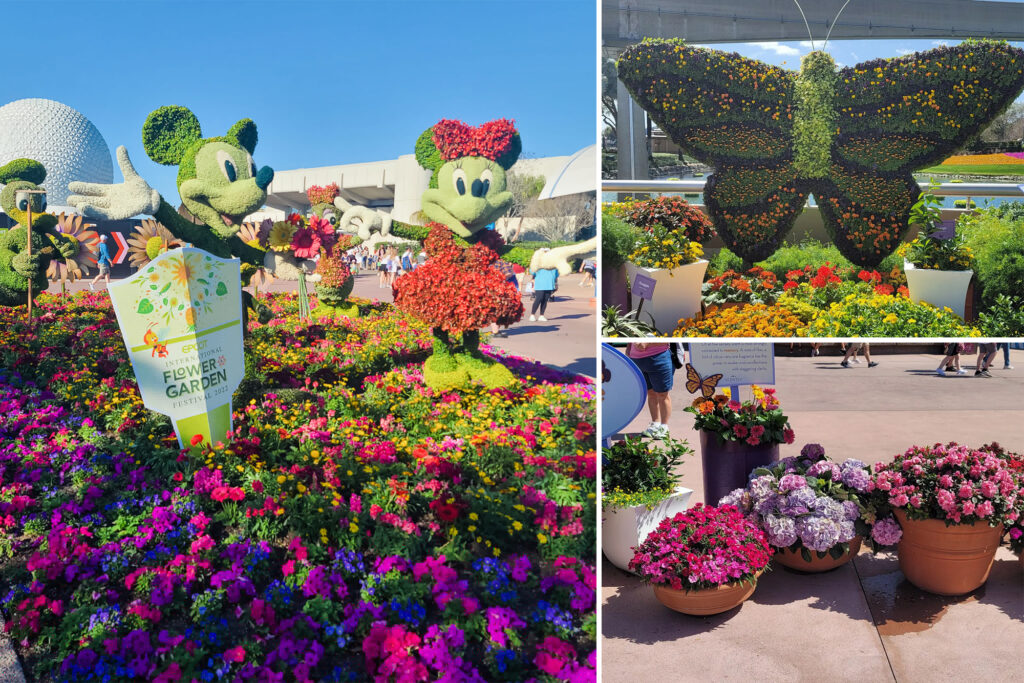 Scentsy Flower and Garden Festival at Disney World's Epcot