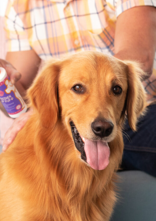 Scentsy Freshen Up Pup product with a golden retriever and a person