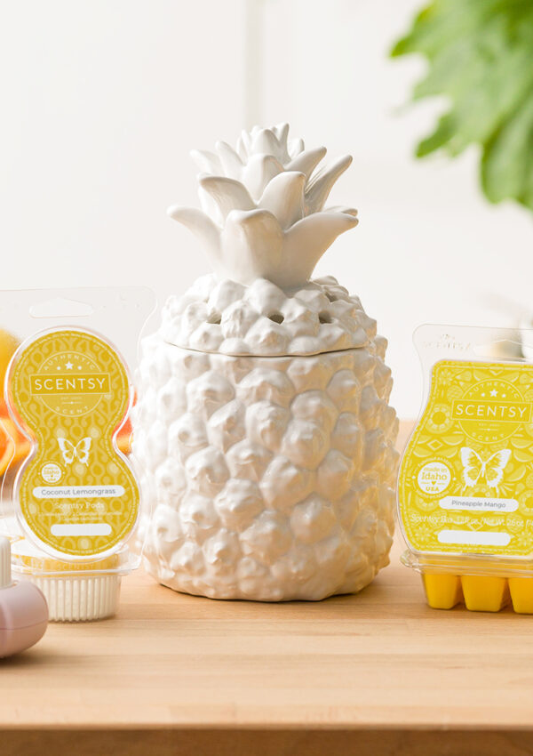 How to choose your Scentsy fragrance system