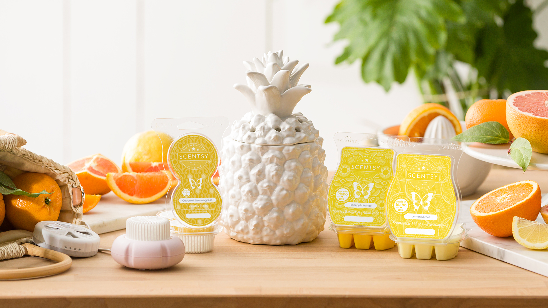Scentsy Wax. Discover a World of Fragrances. : I Love Scents