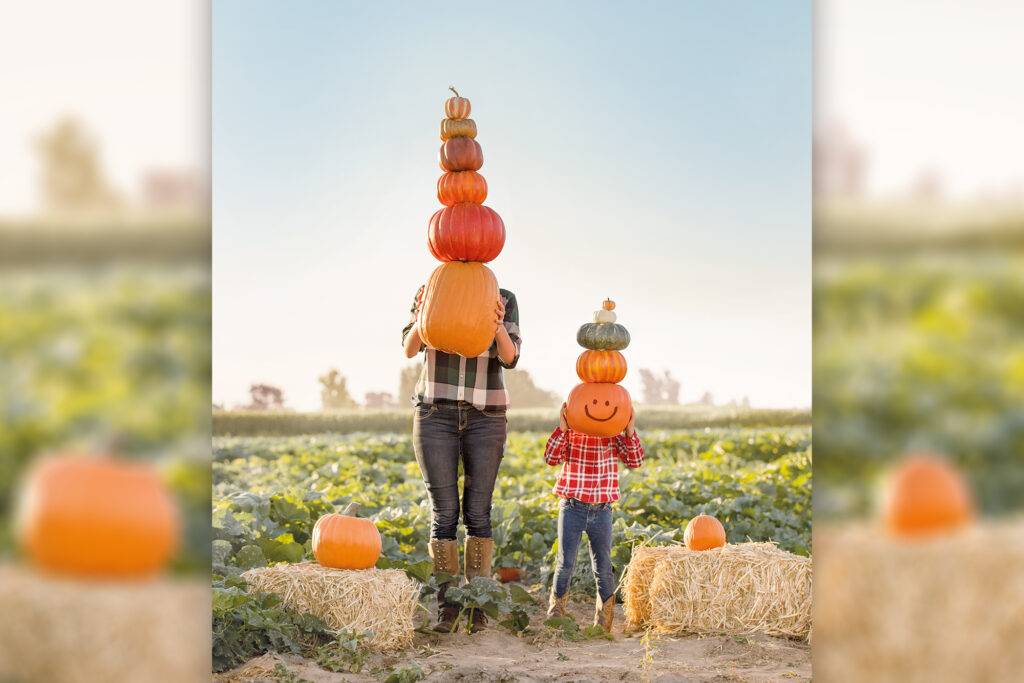 A mother and her daughter standing in the middle of a pumpkin patch. The mother holding a tall stack of 6 pumpkins with the biggest on the bottom and the daughter with 5 stacked pumpkins, the biggest on the bottom with a black smiley face drawn on it