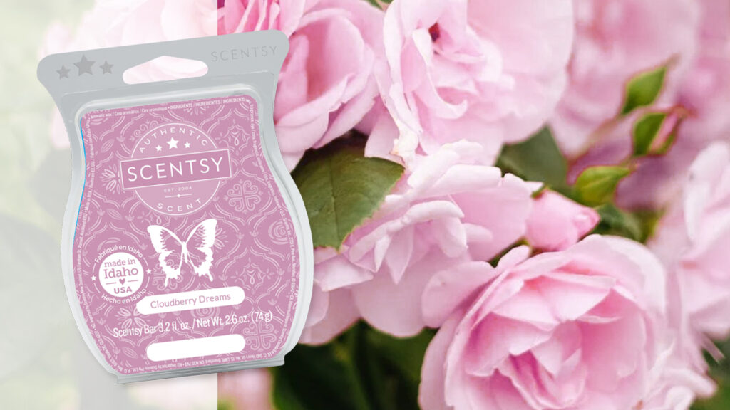 A pink rose bush blossoming and the Scentsy Cloudberry Dreams wax bar