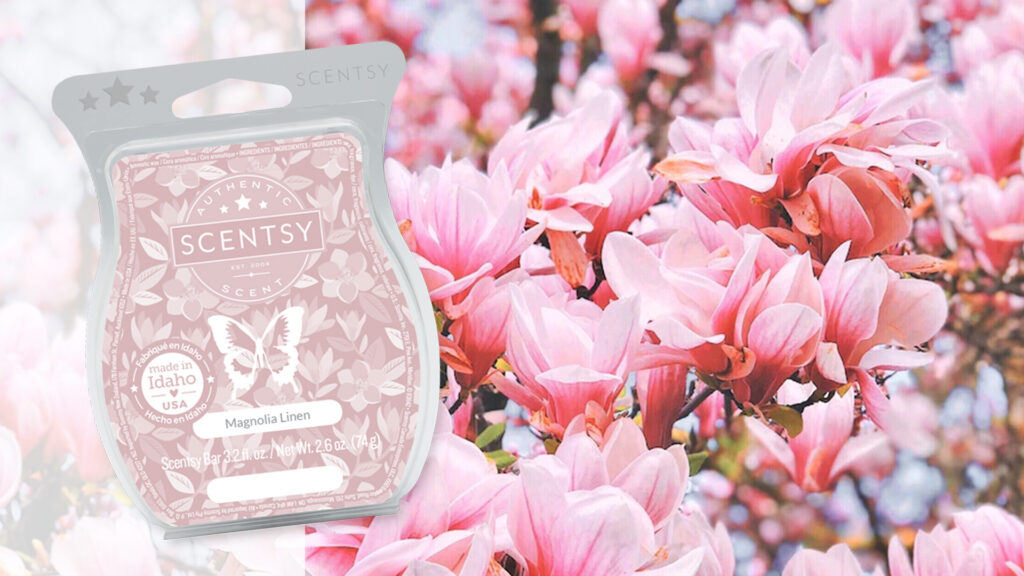 Magnolia blossoms bursting forth in pink and white petals beside a Magnolia Linen scented wax bar