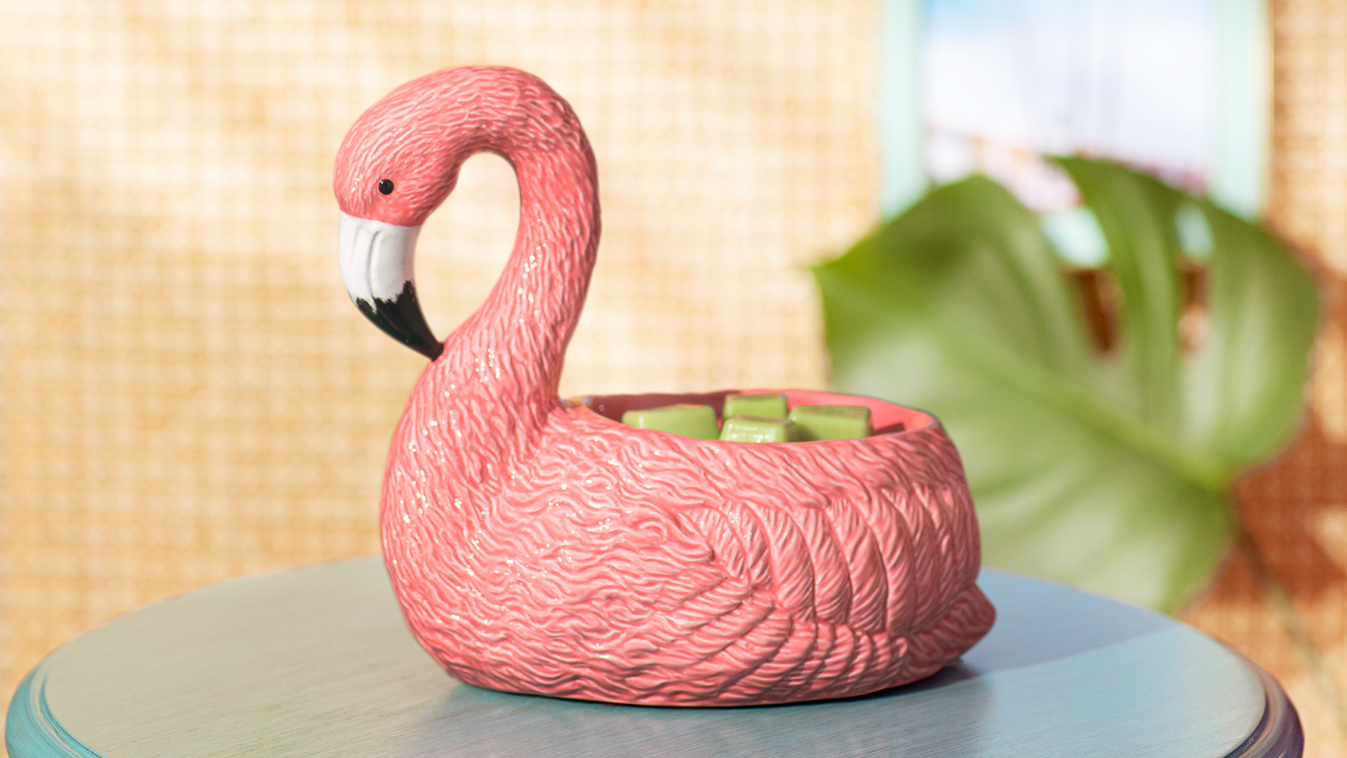 Scentsy’s new Pink Flamingo Warmer! It is a bold pink warmer that is melting green wax cubes while sitting on a small blue side table beside a big green monstera leaf