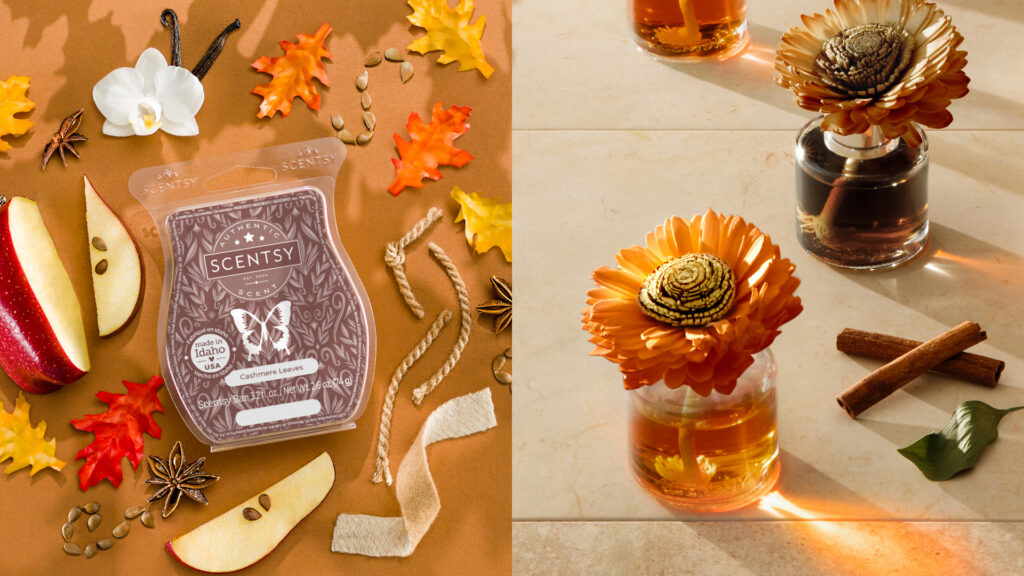 Scentsy wax melts scented in Cashmere leaves fragrance and three Stunning Sunflower Fragrance Flower in fall fragrance