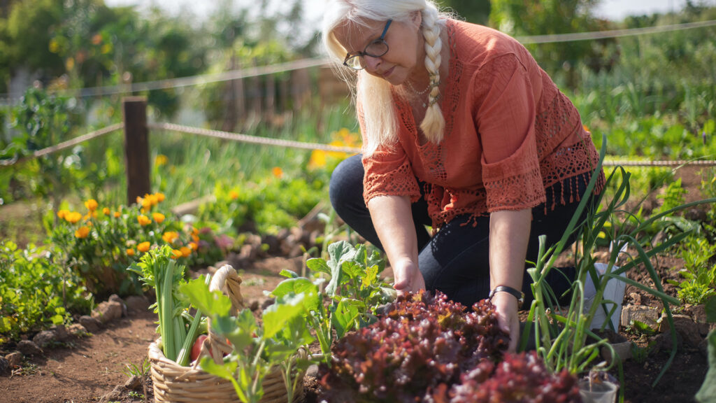 A woman bent down over a garden bed doing gardening