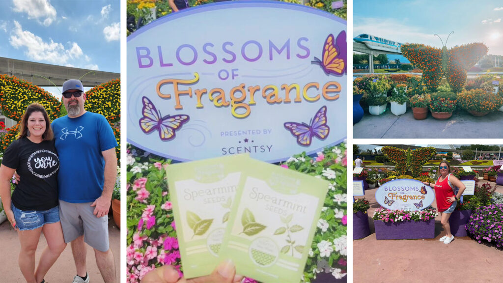 Photo collage of the Blossoms of fragrance presented by scentsy at the 2023 EPCOT® International Flower & Garden Festival at Walt Disney World® Resort full of scentsy fragrance