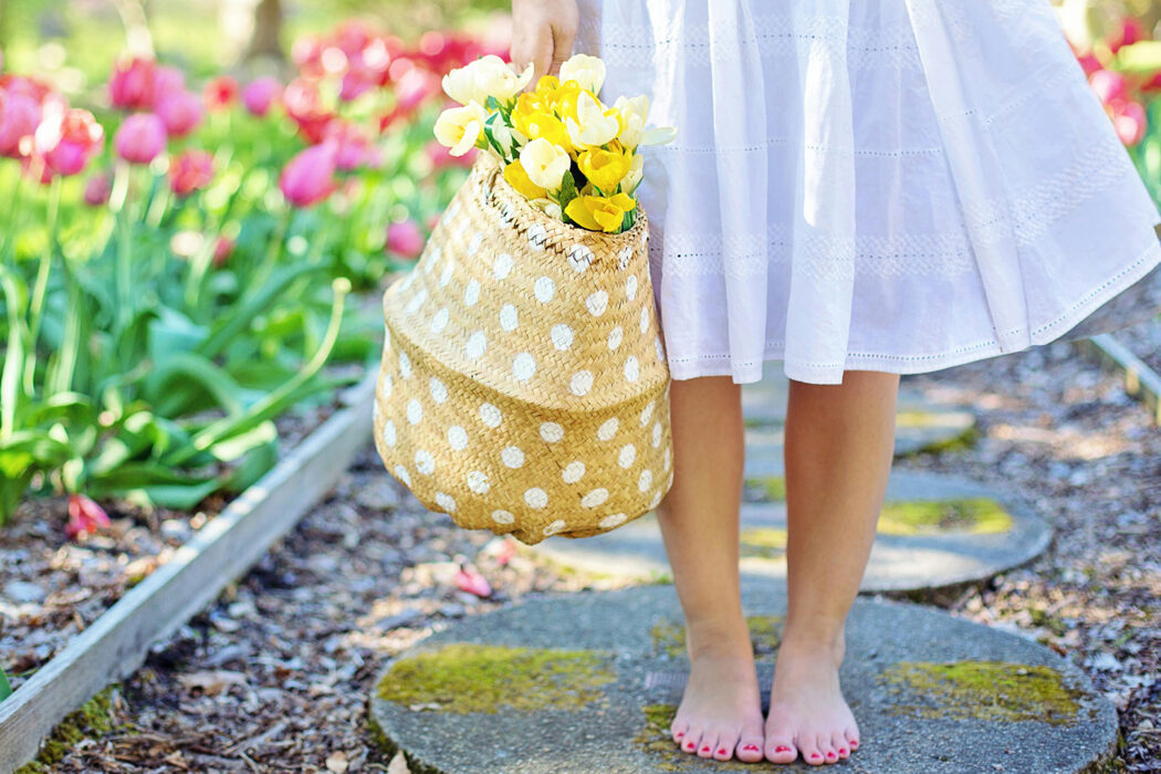 Spring vs. Summer: A lighthearted battle of the seasons