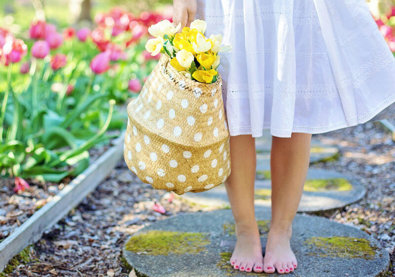 Spring vs. Summer: A lighthearted battle of the seasons