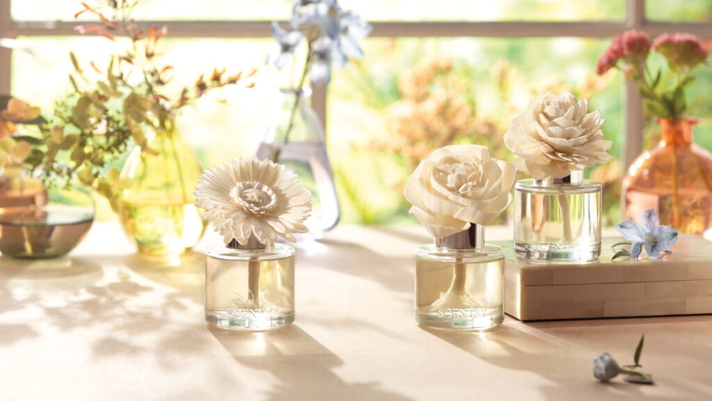 Scentsy’s Fragrance Flowers and colored glass cases filled with flowers sitting on a light wooden table in front of a big bright window