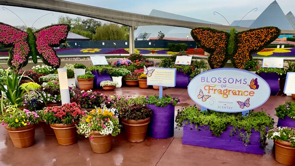 Scentsy's Blossoms of Fragrance interactive display at EPCOT® International Flower & Garden Festival at Walt Disney World® Resort 