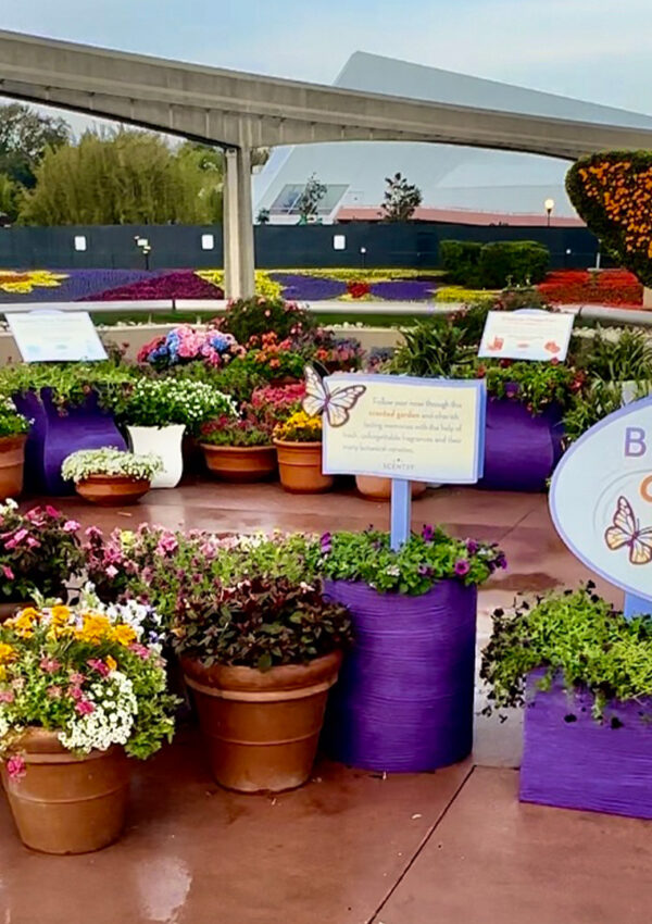Scentsy's Blossoms of Fragrance interactive display at EPCOT® International Flower & Garden Festival at Walt Disney World® Resort in 2023
