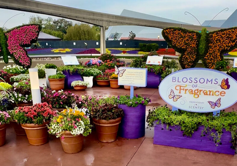 Scentsy’s third year at EPCOT® International Flower & Garden Festival at Walt Disney World® Resort