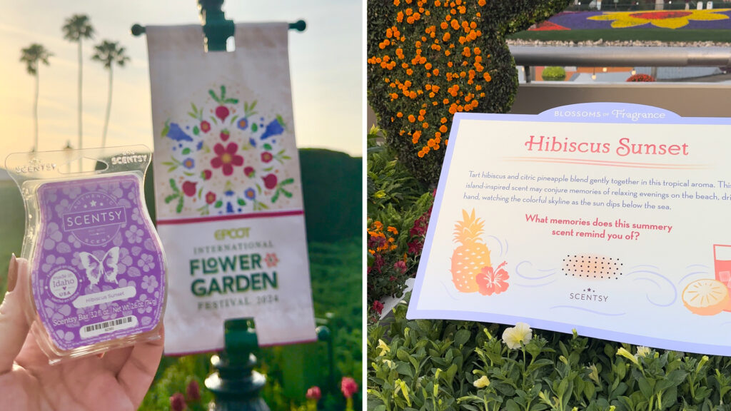 Collage of two photos at EPCOT® International Flower & Garden Festival at Walt Disney World® Resort with a hand holding the hibiscus sunset wax bar up in the park and the other photo is a sign for the wax bar describing the scent