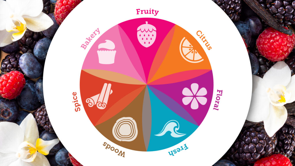 A graphic image displaying the Scentsy Fragrance families as a wheel, showing how the families overlap.