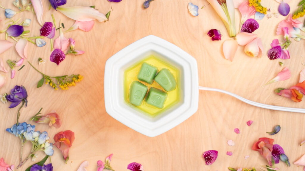 A top-down view of a Scentsy wax warmer with four Scentsy wax cubes slowly melting.