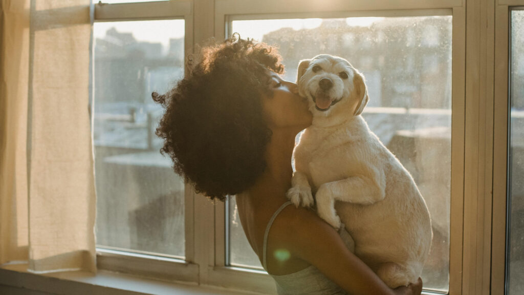 A woman kissing a smiling dog.