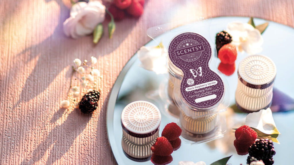 Black Raspberry Vanilla Scentsy Pods sit on a mirror on a table surrounded berries and flower petals.