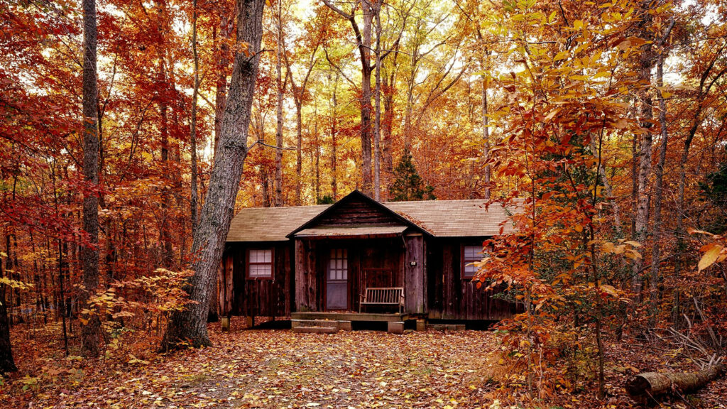 A cabin in the woods.