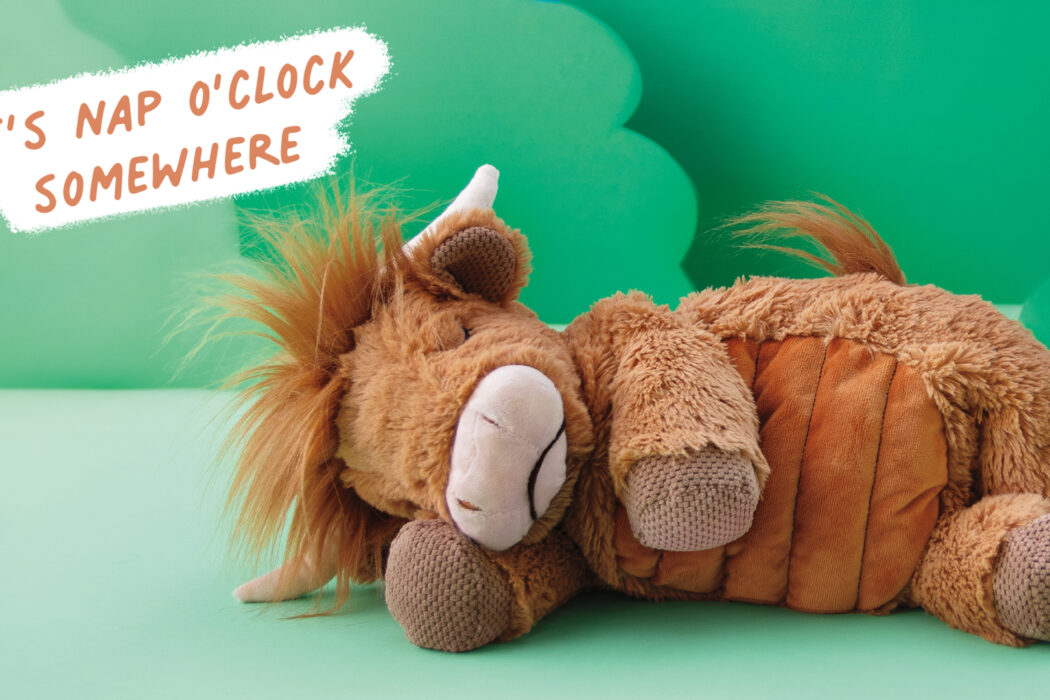 Everything you need to know about Weighted & Warming Scentsy Buddies