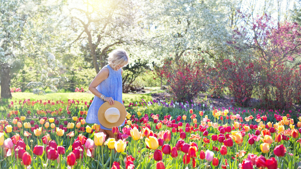 A woman in a blue dress, bathed in sunlight and carrying a sun hat, walks through a garden of bright red and yellow flowers.