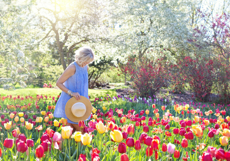 Five ways to create a pollinator garden