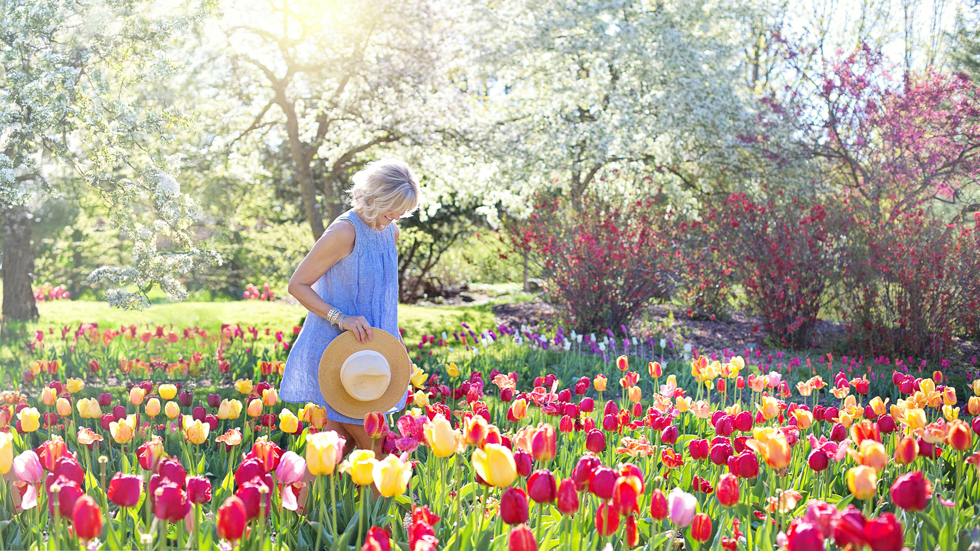 Five ways to create a pollinator garden | Scentsy Blog