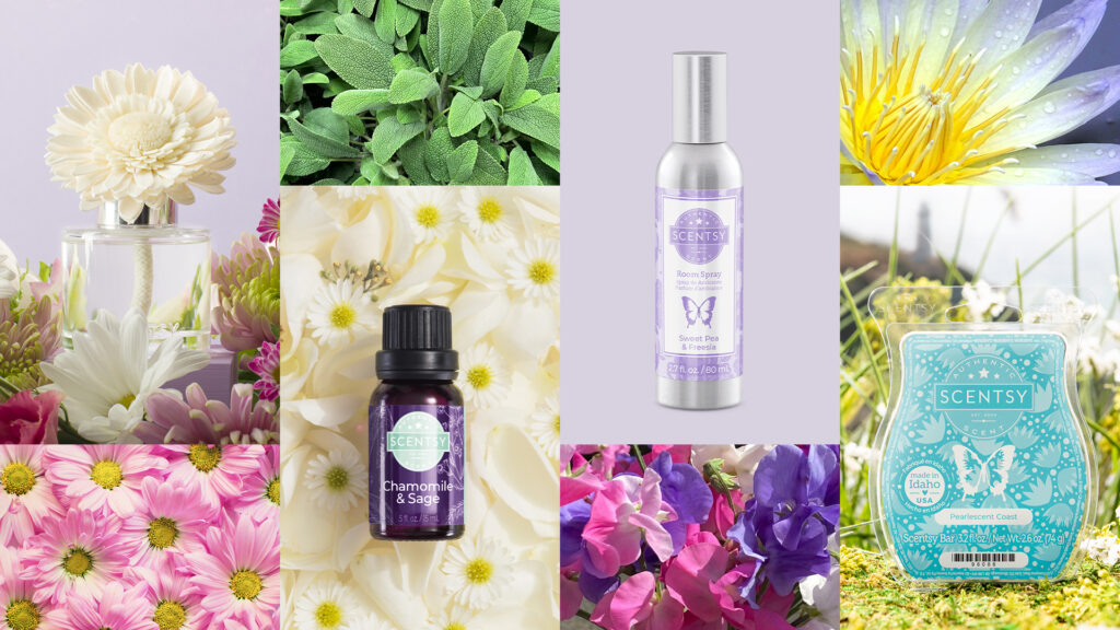 A collage of floral focused Scentsy fragrances and products such as a white Scentsy Fragrance Flower, a purple labled Chamomile & Sage oil, a silver bottled Sweet Pea & Freesia Room Spray, and a blue labled Peralescent Coast Scentsy Bar.