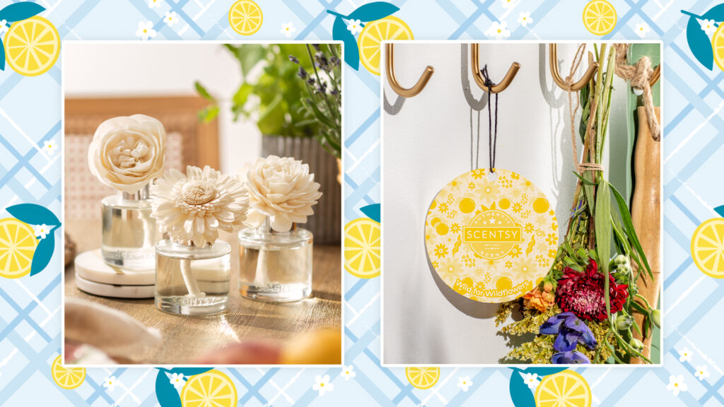 Two photos are cropped side-by-side on blue checkered and lemon themed background. In the photo on the left, a sunflower, Buttercup Belle, and Dahlia Darling fragrance flowers are posed together beside some house plants. In the photo on the right, a Wild for Wildflowers Scent Circle hangs on a coat rack beside some a drying flower bouquet.