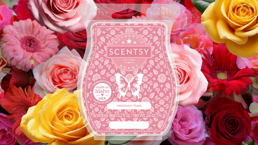 Scentsy's Heirloom Rose Wax Bar pictured in front of an array of beautiful pink, red, and yellow roses.