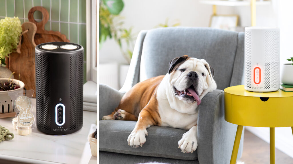The Scentsy Air Purifier disperses fragrance and cleans the air from a livingroom side table while an American Bulldog sits panting in a chair beside it.